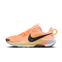 Tênis Nike Pegasus Trail 5 Feminino