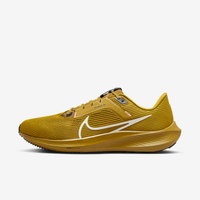 Tênis Nike Pegasus 40 Masculino