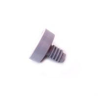 Pé Nivelador Para Máquina De Lavar Brastemp - W10827960 W10827960
