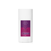 Bastão Anti-Atrito Cuide-se Bem Amoruda 35g