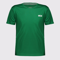Camisa Gr33n Goiás Bandeira 2023 Juvenil Verde