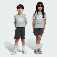 Conjunto Adidas Big Logo T Set 160 Infantil Verde