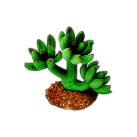 Enfeite de Silicone Soma Planta Cactus - Único