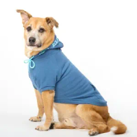 Moletom Partiu Rolê Azul para Cães Emporium Distripet