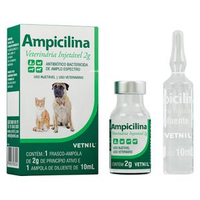 Ampicilina Injetável Antibiótico Bactericida - 2 g