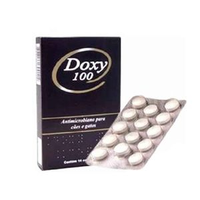 Doxy 100 Antimicrobiano para Cães e Gatos - 14 comprimidos