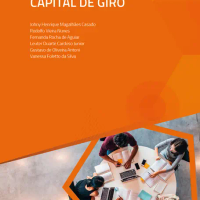 Administração do Capital de Giro
