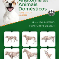 Anatomia dos Animais Domésticos