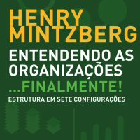 Entendendo as organizações...Finalmente!