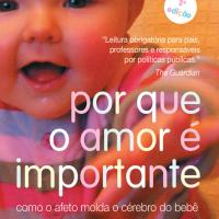 Por que o Amor é Importante