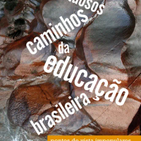 Os Tortuosos Caminhos da Educação Brasileira