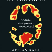 A Anatomia da Violência