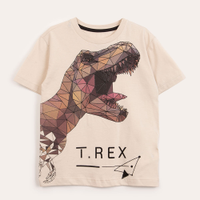 Camiseta infantil manga curta jurassic park bege