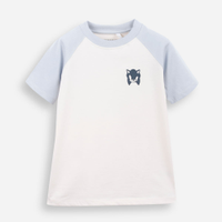 Camiseta raglan infantil de algodão sonic azul