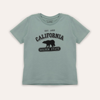Camiseta infantil de algodão califórnia manga curta verde