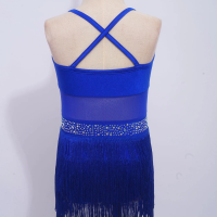 Kids Girls Latin Cha-cha Samba Tango Leotard Dress Dance Costume Rhinestones Sheer Mesh Fringe One Piece Bodysuit Jazz Dancewear