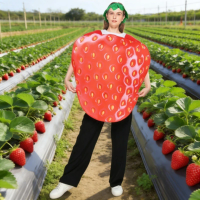 Fun Fruit Series Halloween Party Costume Adult Strawberry Cosplay Outfit