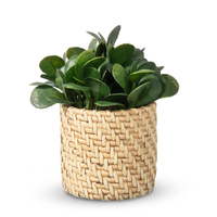 Planta Artificial Home Style Bergmid