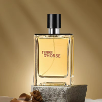Terre d'Hermès Eau de Toilette Classic Woody Notes | Refined, Mature Fragrance for Business & Commuting (100ml)