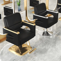 Professional Hair Salon Chair Hydraulic Lift Adjustable Recliner Barber Chair for Barbershop Beauty Spa