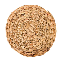 Lugar Americano 38 Cm Ciranda