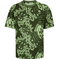 Camiseta do Palmeiras Puma Masculina Manga Curta Ftblngry SS Jersey