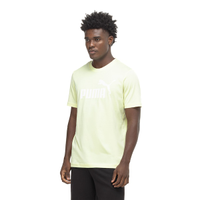 Camiseta Puma Essential No 1 Masculina