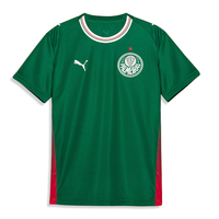 Camisa do Palmeiras I 26/27 Torcedor Puma Infantil