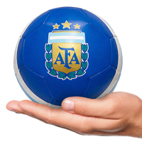 Mini Bola Seleção da Argentina AFA 26/27