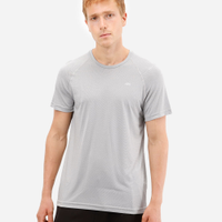 Camiseta esportiva masculina manga raglan cinza