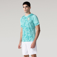 Camisa do Palmeiras 26/27 Puma Treino Masculina