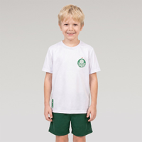 CAMISA PALMEIRAS 1914 JUVENIL