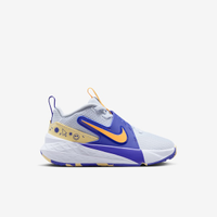 Tênis Juvenil Nike Team Hustle D12
