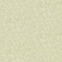 Papel De Parede Vinilico - 8366 + Cola Gratis