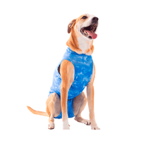 Roupa Pós-Cirúrgica Dry Light Supreme para Cães Machos Castração Pet Med Azul
