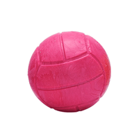 Bola Borracha Maciça Mini Tudo Pet Vermelha - 100 mm
