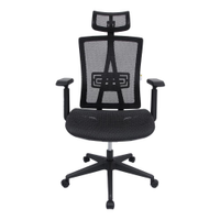 Cadeira Presidente Pelegrin Premium PEL-A108 Tela Mesh Especial