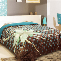 Coberdrom Casal Cintia