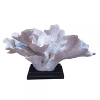 Coral Decorativo de Resina Branco 51cmx27cm
