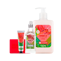 Combo Completo Bromélia