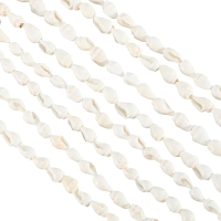 2 Strands Trumpet Shell Beads Strands Shell Shape White 6~13x4~8.5mm Hole: 0.5~1mm 115~160pcs/strand 37.01~50 inch