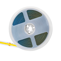 Fita De Led Cob 20W Por Metro 24V Irc90 5 Metros - LED BRANCO QUENTE (2700K)