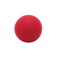 Brinquedo Bola Medical LCM Borracha Cães 54mm