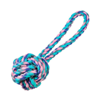 Brinquedo Cães Jambo Bola de Corda C/ Alça Pastel Pequeno