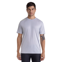 Camiseta de Corrida Mizuno Focus Stamp P Cinza