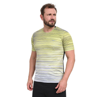 Camiseta de Treino Masculina Mizuno High P Cinza