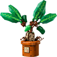 LEGO® Harry Potter - Mandrágora