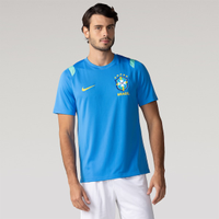Camiseta Brasil Dri-FIT Nike Academy Pro Masculina