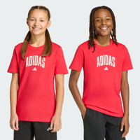Camiseta Estampada Collegiate Infantil Kids adidas