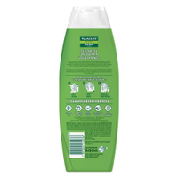 Shampoo Palmolive Naturals Frizz Resist 350ml